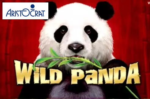 Wild Panda